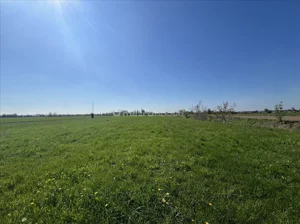 Działka 6 800,00 m², Dąbrówka, Sprzedaż