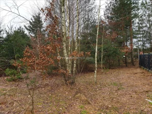Działka 1 073,00 m², Długa Szlachecka, Sprzedaż