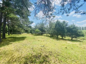 Działka 1 927,00 m², Dłużec, Sprzedaż