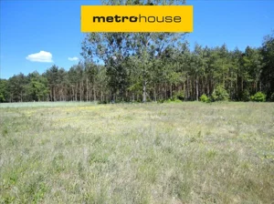 Działka 28 276,00 m², Dopiewo, Sprzedaż