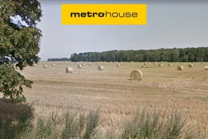 Działka 59 500,00 m², Dopiewo, Sprzedaż