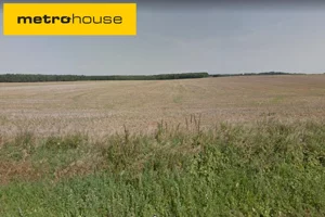 Działka 97 776,00 m², Dopiewo, Sprzedaż