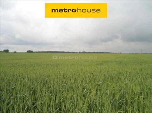 Działka 447 300,00 m², Drzonów, Sprzedaż