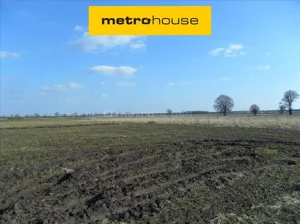 Działka 1 195,00 m², Dymaczewo Nowe, Sprzedaż