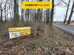 Działka 4 600,00 m², Dzietrzychowice, Sprzedaż