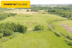 Działka 3 315,00 m², Dźwierzuty, Sprzedaż