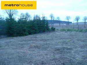 Działka 133 500,00 m², Franknowo, Sprzedaż