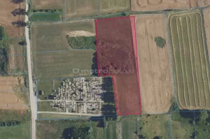 Działka 8 300,00 m², Franknowo, Sprzedaż