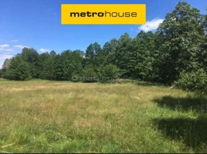 Działka 49 120,00 m², Glinojeck, Sprzedaż