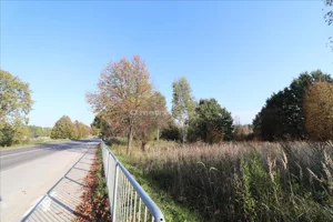 Działka 3 671,00 m², Głogów Małopolski, Sprzedaż