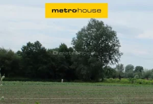 Działka 54 372,00 m², Gniewniewice Folwarczne, Sprzedaż