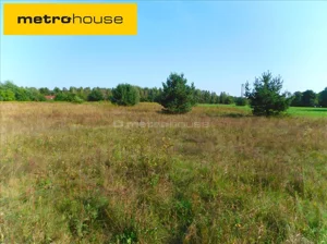 Działka 3 017,00 m², Górsk, Sprzedaż