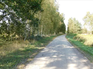 Działka 1 642,00 m², Grabowiec, Sprzedaż