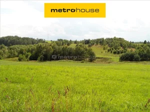Działka 12 165,00 m², Grabowska Huta, Sprzedaż