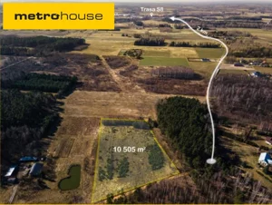 Działka 7 500,00 m², Gąba, Graniczna, Sprzedaż