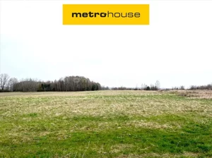 Działka 21 600,00 m², Grzymałków, Sprzedaż