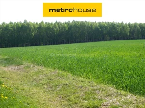Działka 27 000,00 m², Iłowo-Osada, Sprzedaż