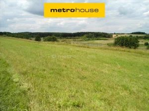 Działka 27 841,00 m², Jankowo, Sprzedaż