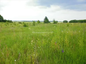 Działka 5 000,00 m², Jankowo, Sprzedaż
