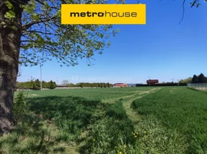 Działka 4 090,00 m², Gogołowa, Jastrzębska, Sprzedaż