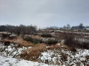 Działka 16 787,00 m², Jemiołowo, Sprzedaż