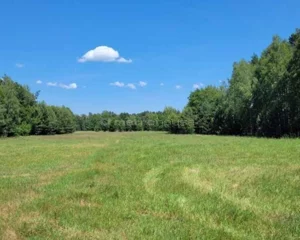 Działka 25 450,00 m², Józefina, Sprzedaż