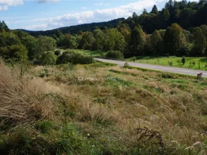 Działka 9 200,00 m², Jureczkowa, Sprzedaż