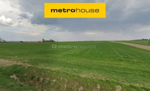 Działka 39 969,00 m², Kobylniki, Sprzedaż