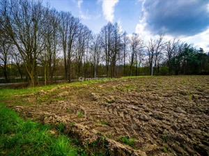 Działka 1 250,00 m², Kończyce Małe, Sprzedaż