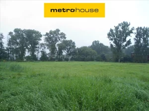 Działka 2 161,00 m², Koninko, Sprzedaż