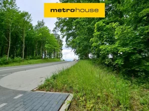 Działka 63 021,00 m², Klawkowo, Leśna, Sprzedaż