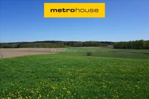 Działka 75 600,00 m², Leśniewo, Sprzedaż