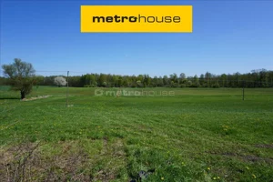 Działka 70 600,00 m², Leśniewo, Sprzedaż