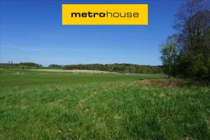 Działka 69 500,00 m², Leśniewo, Sprzedaż