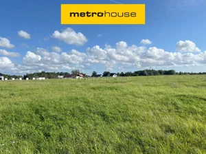 Działka 3 545,00 m², Zieleniewo, Liliowa, Sprzedaż