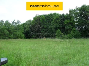 Działka 10 000,00 m², Łoś, Sprzedaż