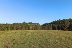 Działka 3 082,00 m², Łosiny, Sprzedaż
