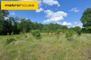 Działka 4 600,00 m², Lubicz Dolny, Sprzedaż