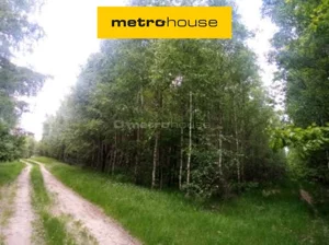 Działka 44 500,00 m², Lubowidz, Sprzedaż
