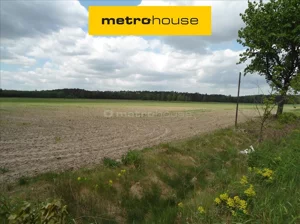 Działka 22 743,00 m², Luciny, Sprzedaż