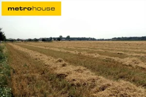 Działka 79 900,00 m², Luciny, Sprzedaż