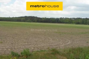 Działka 75 530,00 m², Luciny, Sprzedaż