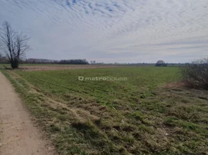 Działka 1 133,00 m², Ludwinów, Sprzedaż