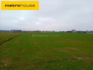 Działka 19 029,00 m², Maleszowa, Sprzedaż