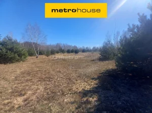Działka 2 517,00 m², Miedniewice, Sprzedaż
