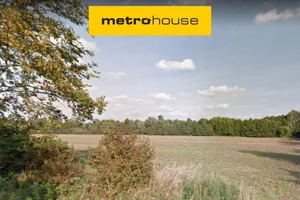 Działka 34 027,00 m², Międzylesie, Sprzedaż