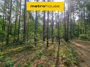 Działka 2 600,00 m², Mierzwice-Kolonia, Sprzedaż