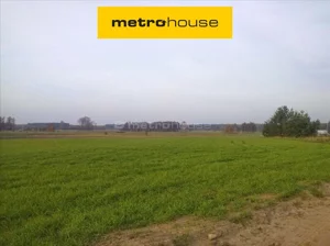 Działka 10 000,00 m², Mława, Sprzedaż