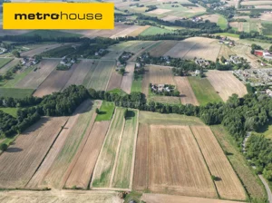Działka 8 400,00 m², Momina, Sprzedaż