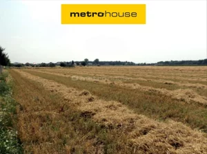 Działka 63 076,00 m², Mrowino, Sprzedaż